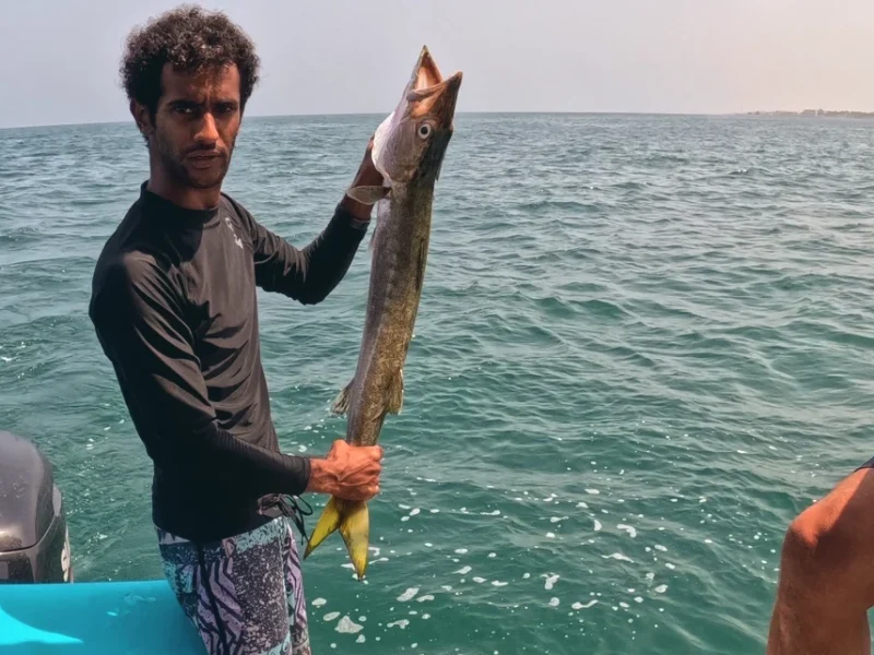 A barracuda landed on the boat